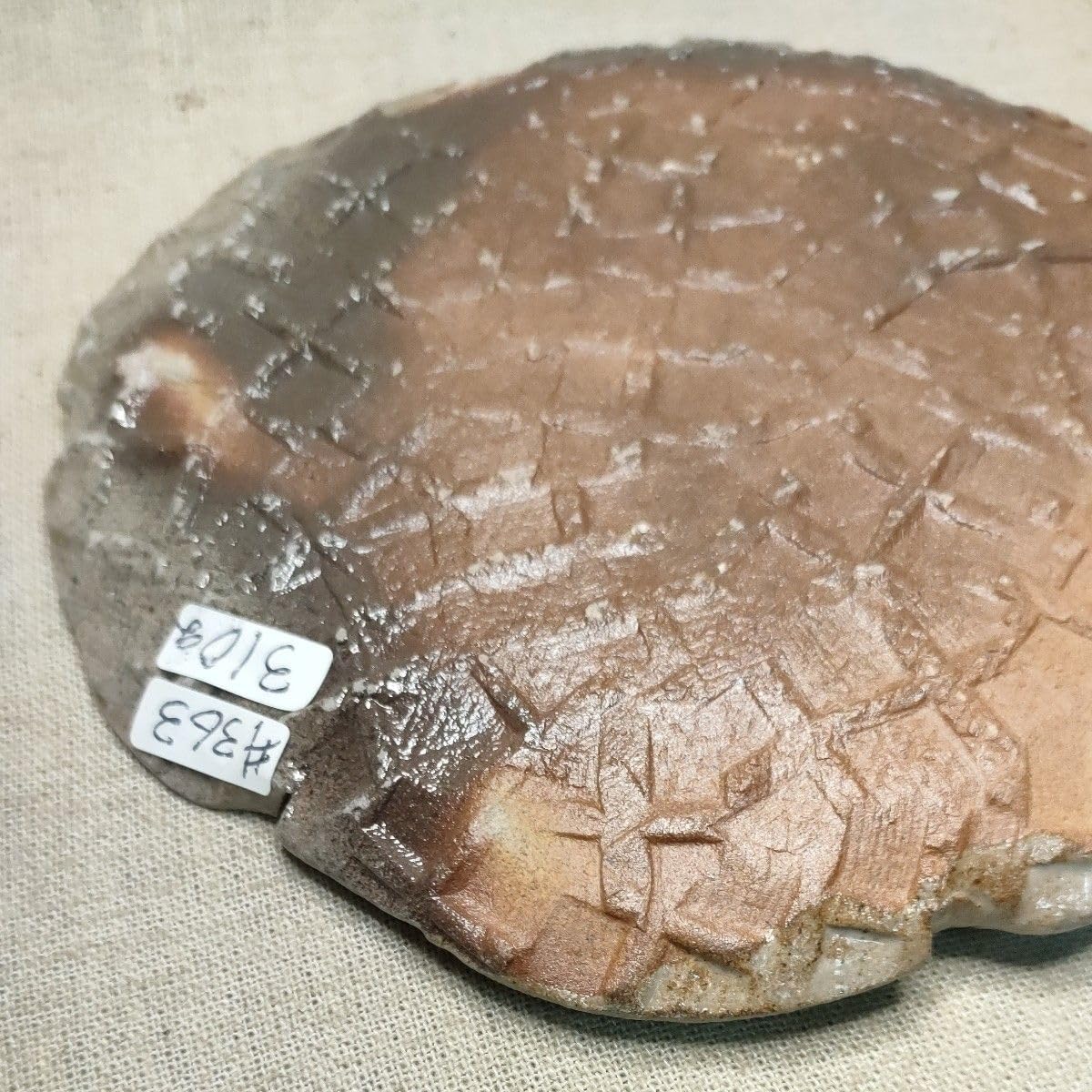 古伊万里 染付 小皿 1700年代 古伊万里 染付 微塵唐草 長皿 五枚 裏